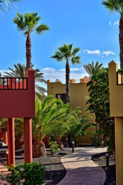 İspanya Kanarya Adası Fuerteventura 'nın güzel şehri Corralejo sıcak bir tatil gününde
