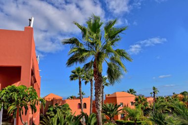 İspanya Kanarya Adası Fuerteventura 'nın güzel şehri Corralejo sıcak bir tatil gününde