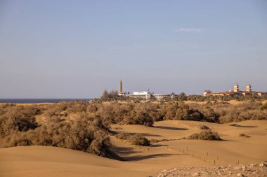 İspanya 'nın Gran Canaria adasındaki Maspalomas kumullarından sıcak güneşli bir günde güzel bir çöl manzarası.