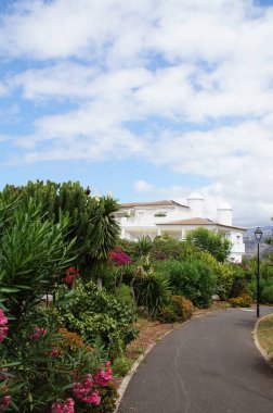 İspanyol adası Tenerife 'de Puerto de la Cruz' da asfalt yolu olan güzel bir manzara.