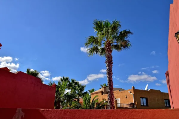 Bela Cidade Corralejo Ilha Canária Espanhola Fuerteventura Dia Quente Férias — Fotografia de Stock