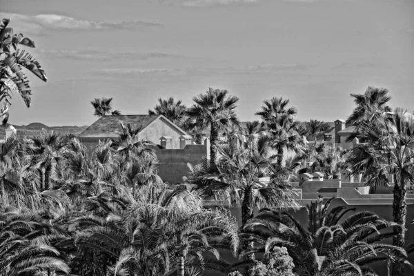 Bela Cidade Corralejo Ilha Canária Espanhola Fuerteventura Dia Quente Férias — Fotografia de Stock