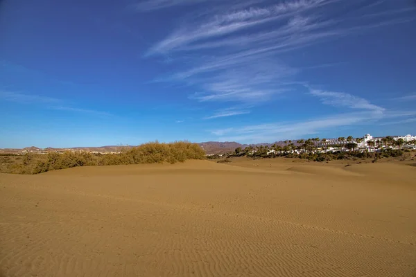 Όμορφο Καλοκαιρινό Τοπίο Της Ερήμου Μια Ζεστή Ηλιόλουστη Μέρα Από — Φωτογραφία Αρχείου