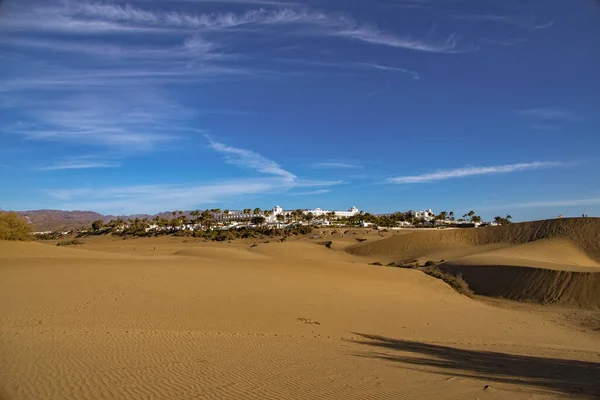 Όμορφο Καλοκαιρινό Τοπίο Της Ερήμου Μια Ζεστή Ηλιόλουστη Μέρα Από — Φωτογραφία Αρχείου