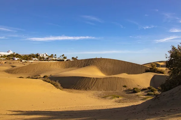 Vackert Sommarökenlandskap Varm Solig Dag Från Maspalomas Sanddyner Den Spanska — Stockfoto