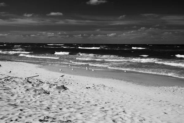 Piękny Spokojny Krajobraz Morski Plaży Morza Bałtyckiego Polsce Mewami Słoneczny — Zdjęcie stockowe