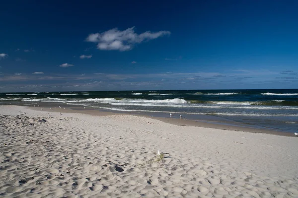 晴れた日にはカモメとポーランドのバルト海のビーチで美しい穏やかな海の風景 — ストック写真
