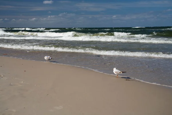 阳光普照的波兰波罗的海海滩上美丽而平静的海景 — 图库照片