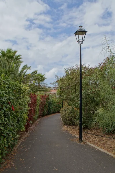 Beautiful Landscape Asphalt Road Park Spanish Island Tenerife Puerto Cruz — Stock Photo, Image