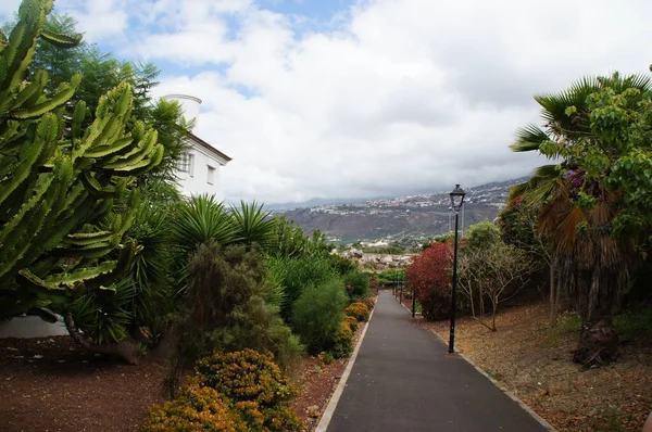 Gyönyörű Táj Aszfalt Egy Parkban Spanyol Tenerife Sziget Puerto Cruz — Stock Fotó