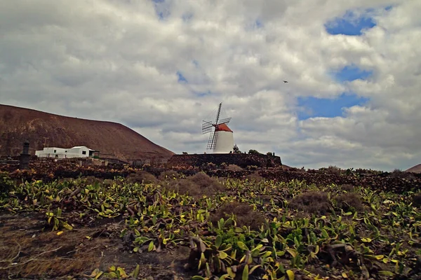 Hermoso Paisaje Nublado Verano Tranquilo Isla Española Canarias Lanzarote —  Fotos de Stock