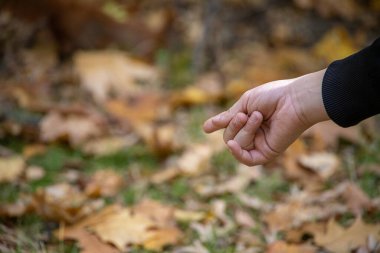 Küçük bir çocuğun eli, kahverengi arka planda parmağı olan bir şeyi işaret ediyor.