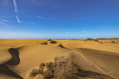 İspanya 'nın Gran Canaria adasındaki Maspalomas kumullarından sıcak güneşli bir günde güzel bir çöl manzarası.