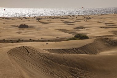 İspanya 'nın Gran Canaria adasındaki Maspalomas kumullarından sıcak güneşli bir günde güzel bir çöl manzarası.