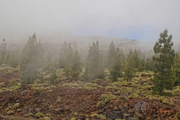 Gyönyörű Nyugodt Hegyi Táj Körül Teide Spanyol Kanári Sziget Tenerife — Stock Fotó