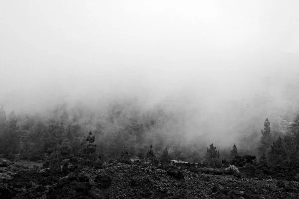 Hermoso Paisaje Montaña Tranquilo Alrededor Del Teide Isla Española Canarias —  Fotos de Stock