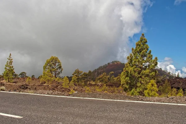 Gyönyörű Nyugodt Hegyi Táj Körül Teide Spanyol Kanári Sziget Tenerife — Stock Fotó