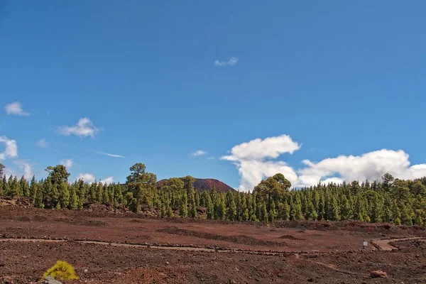 Gyönyörű Nyugodt Hegyi Táj Körül Teide Spanyol Kanári Sziget Tenerife — Stock Fotó