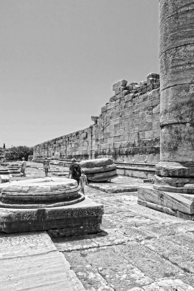 Прекрасні Руїни Стародавнього Храму Аполлона Дідимі Туреччина Спекотного Літнього Дня — стокове фото