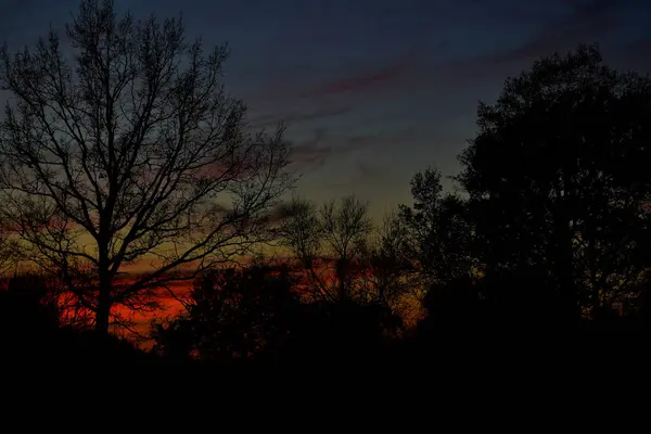 Schöner Farbenfroher Sonnenuntergang Mit Rotem Himmel Und Bäumen Und Wolken — Stockfoto
