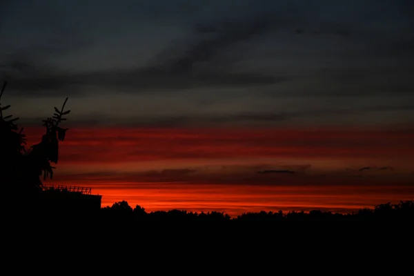 Vakker Fargerik Solnedgang Med Rød Himmel Trær Skyer – stockfoto