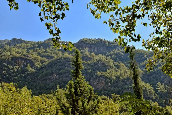 Krásná Letní Krajina Tureckých Hor Zelenými Stromy — Stock fotografie