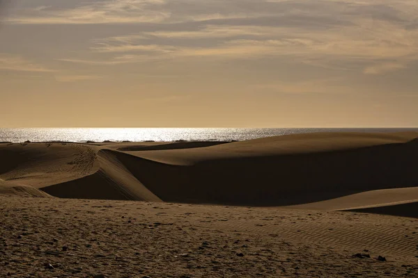 Bela Paisagem Deserto Verão Dia Ensolarado Quente Dunas Maspalomas Ilha — Fotografia de Stock