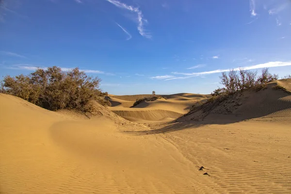 Vackert Sommarökenlandskap Varm Solig Dag Från Maspalomas Sanddyner Den Spanska — Stockfoto