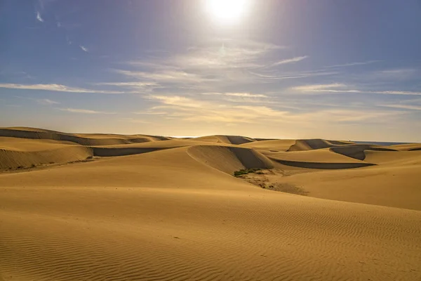 Bela Paisagem Deserto Verão Dia Ensolarado Quente Dunas Maspalomas Ilha — Fotografia de Stock