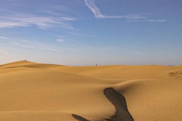スペインのグラン カナリア島のマスパロマス砂丘からの暖かい晴れた日の美しい夏の砂漠の風景 — ストック写真