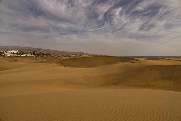 Wunderschöne Sommerliche Wüstenlandschaft Einem Warmen Sonnigen Tag Von Den Dünen — Stockfoto