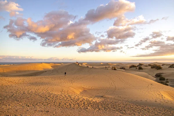 Krásná Letní Pouštní Krajina Teplého Slunečného Dne Duny Maspalomas Španělském — Stock fotografie