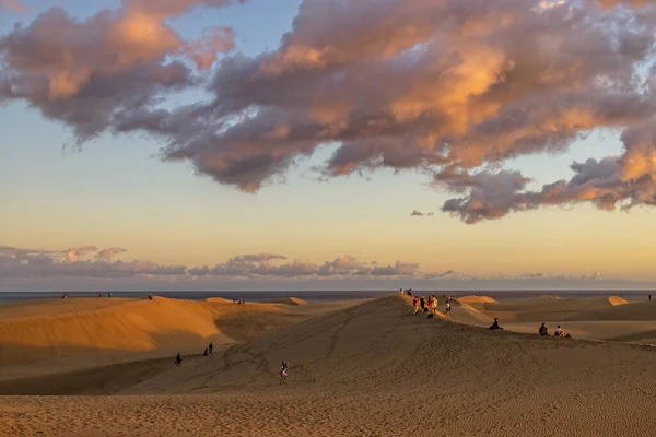 Vackert Sommarökenlandskap Varm Solig Dag Från Maspalomas Sanddyner Den Spanska — Stockfoto