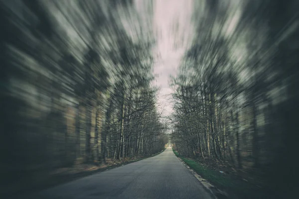 Bella Vecchia Strada Asfaltata Stretta Con Alberi Sul Lato Della — Foto Stock