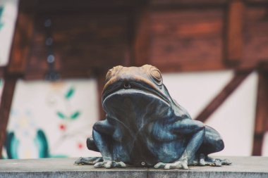 Polonya, Varşova 'da güzel bir sonbahar manzarası. Arka planda deniz kenarında bir saray var.