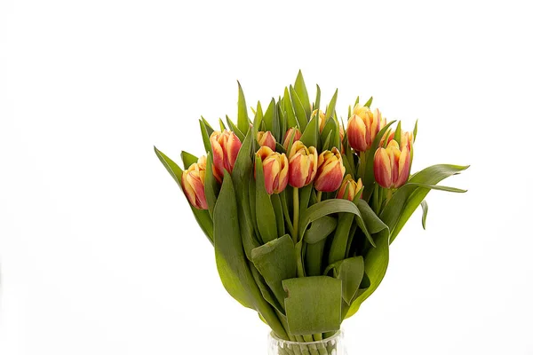 Schöner Frühlingsstrauß Roter Tulpen Auf Weißem Isoliertem Hintergrund — Stockfoto