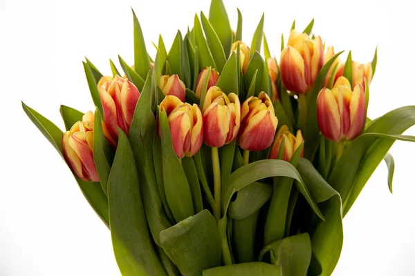 Schöner Frühlingsstrauß Roter Tulpen Auf Weißem Isoliertem Hintergrund — Stockfoto