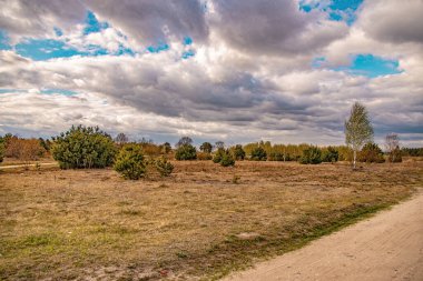 Toprak yolu, tarlası, ağaçları ve gökyüzü Polonya 'da bulutlarla kaplı güzel bir bahar manzarası.