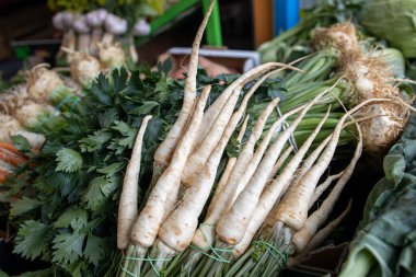 Küçük maydanozlar marketin tezgahında