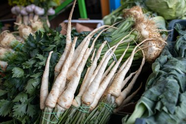 Küçük maydanozlar marketin tezgahında