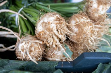 Markette küçük bir demet taze kereviz kökü.