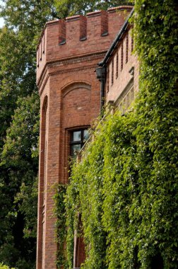 Rzucewo 'daki güzel Polonya tarihi tuğla sarayı yaz yeşiliyle çevrili.