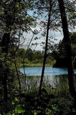 Güneşli bir günde mavi gökyüzünün altında gölü olan güzel bir yaz manzarası.