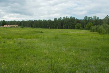 Güzel yeşil bahar kırsal arazi mavi gökyüzü