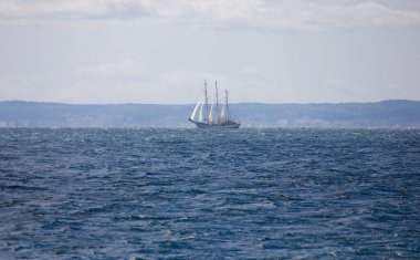 Mavi Baltık Denizi 'nde yelkenli bir gemiyle güzel bir manzara.