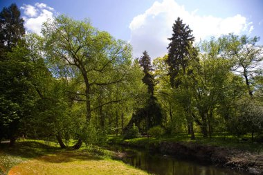 Polonya 'daki Zelazowa Wola parkında yeşil ağaçlarla dolu güzel, sakin bir bahar manzarası.