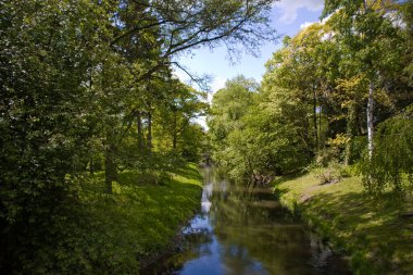 Polonya 'daki Zelazowa Wola parkında yeşil ağaçlarla dolu güzel, sakin bir bahar manzarası.