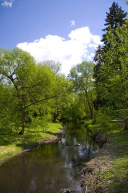 Polonya 'daki Zelazowa Wola parkında yeşil ağaçlarla dolu güzel, sakin bir bahar manzarası.