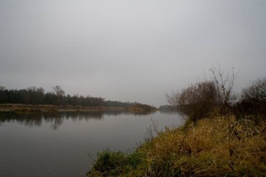 Güzel Polonya sonbaharı soğuk gri bulutlu Kasım ayı Podlasie 'nin Böcek nehri manzarası