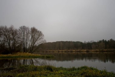 Güzel Polonya sonbaharı soğuk gri bulutlu Kasım ayı Podlasie 'nin Böcek nehri manzarası
